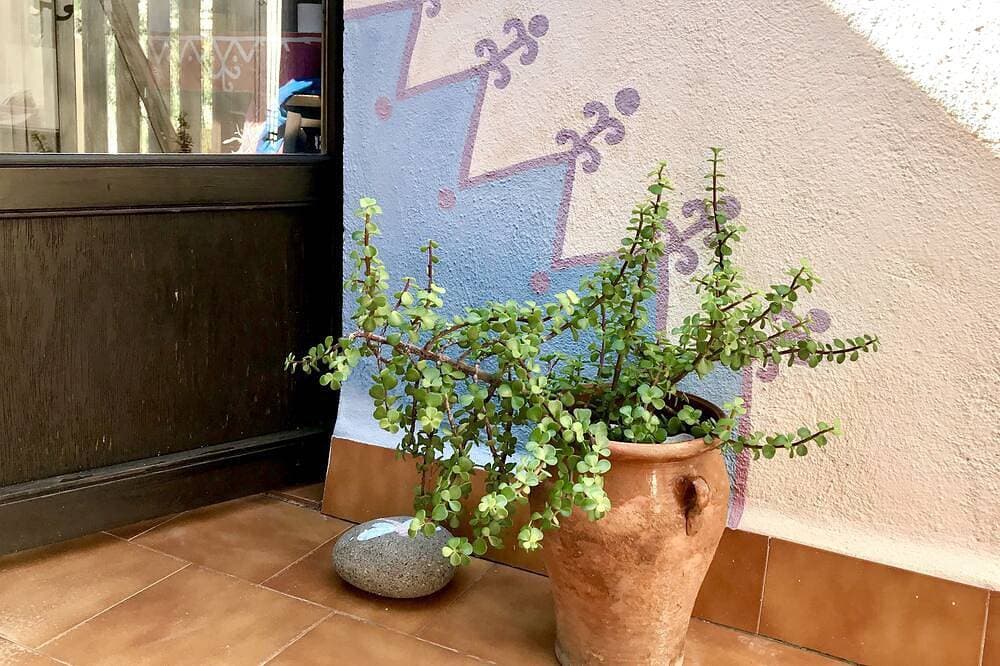 Foto 11 von 27: La Chumbera hohe Miete ideal für Paare