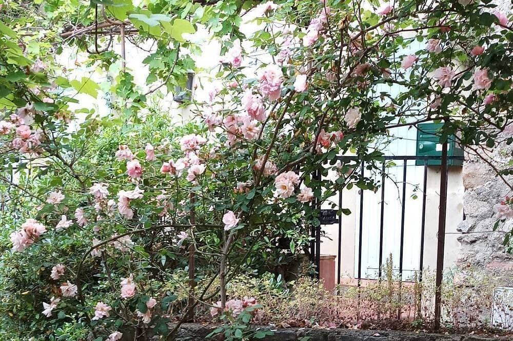 Foto 11 von 23: Self-contained room in a medieval village. Charm and silence near Cannes.