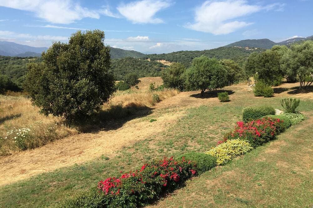 Foto 13 von 29: Villa in der Nähe von den Stränden des Golfs von Valinco, Catering 4 *