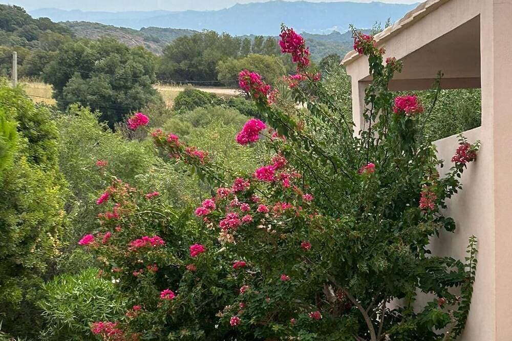 Foto 10 von 20: Villa L'Ortu Corse du Sud 6 people