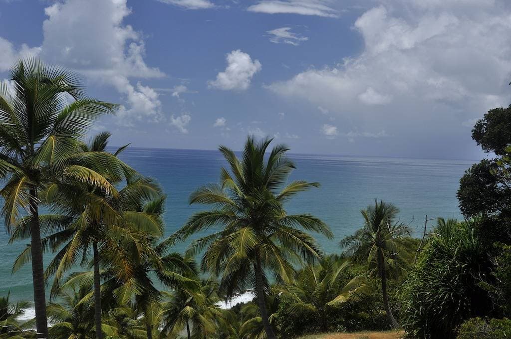 Foto 8 von 33: Ecke der Dendês Chalets-Chalet Sea-Sargi Beach, Serra Grande, Bahia