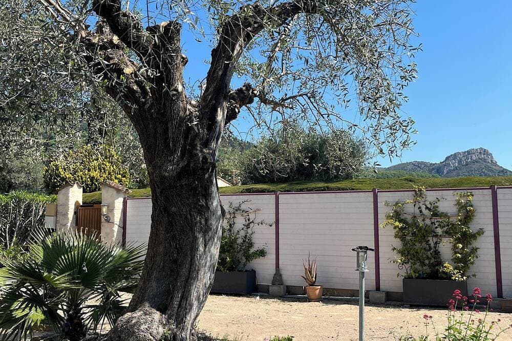 Foto 5 von 14: Villa Bibaou: 1 bedroom 2P ; a haven of peace between sea, mountains