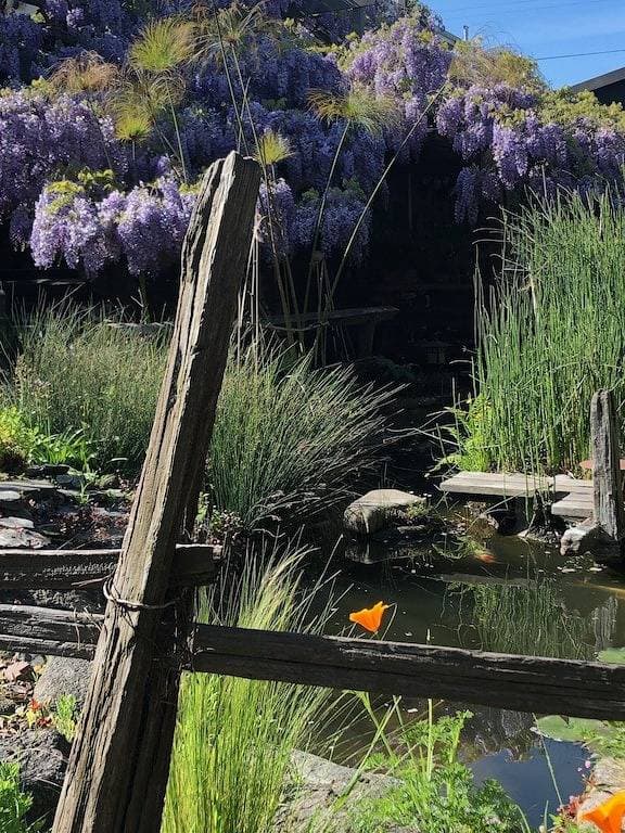 Foto 6 von 43: Schöne und Lush Versteckte Wisteria Cottage