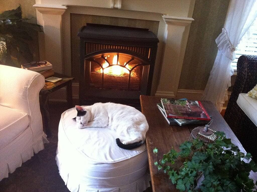 Foto 13 von 18: Private Garden, Jacuzzi Tub, Fireplace, In-Cottage Breakfast & Walking Distance to SoMa Are Just the Beginning!