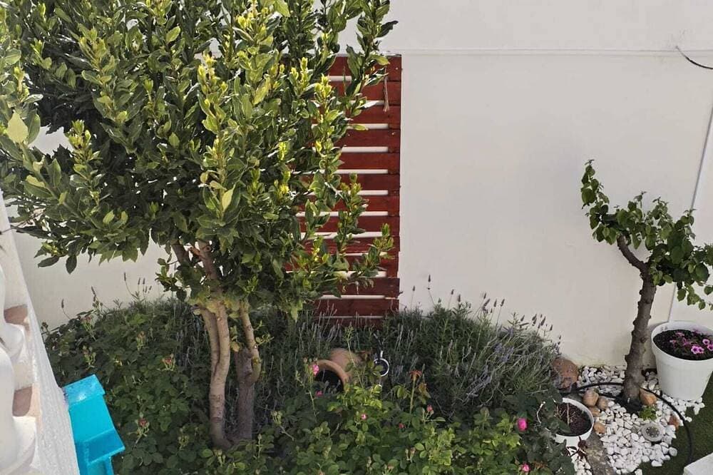 Foto 9 von 13: Fantástica Vivienda Turística Totalmente Renovada y Rodeada de Viñas Manchegas
