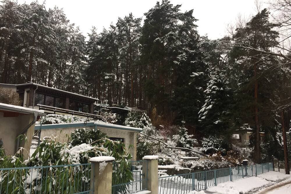 Foto 10 von 30: Ferienhaus Ulla ( am Schwielochsee) Natur pur erleben