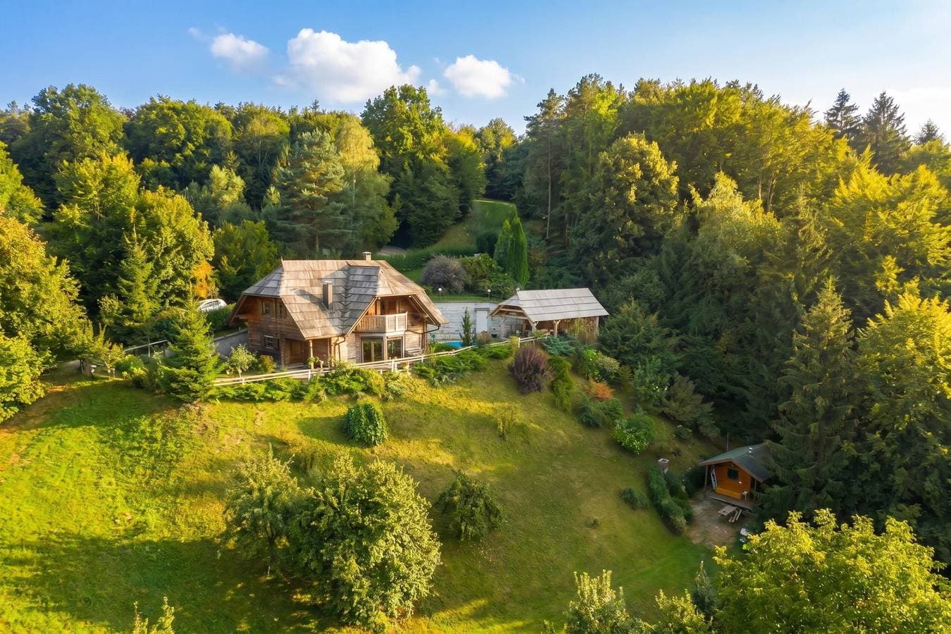 Mountain Chalet Podgorje with Pool 1