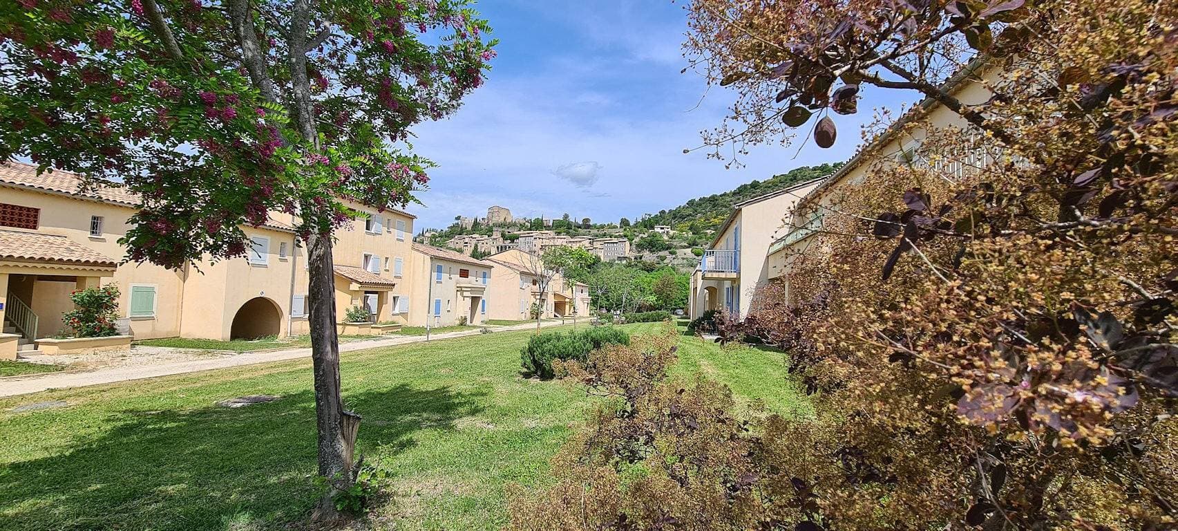 Foto 8 von 19: T3-Wohnung Montbrun-les-Bains (Kurpreis)