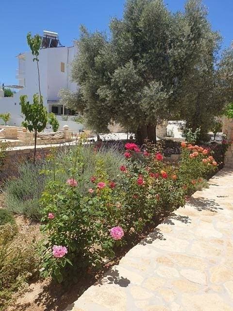 Foto 9 von 20: Villa Efthalia