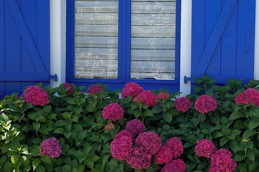 Foto 11 von 30: Jolie Maison Bleue Im Zentrum von Pont Aven nahe Geschäften und Museum