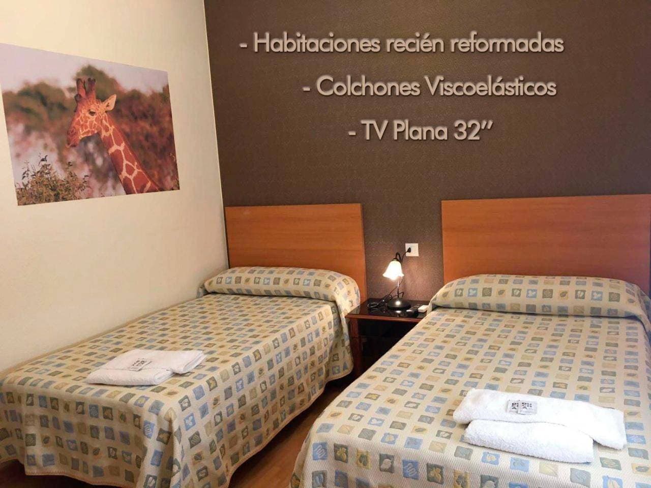 Foto 10 von 54: Hostal La Zarza