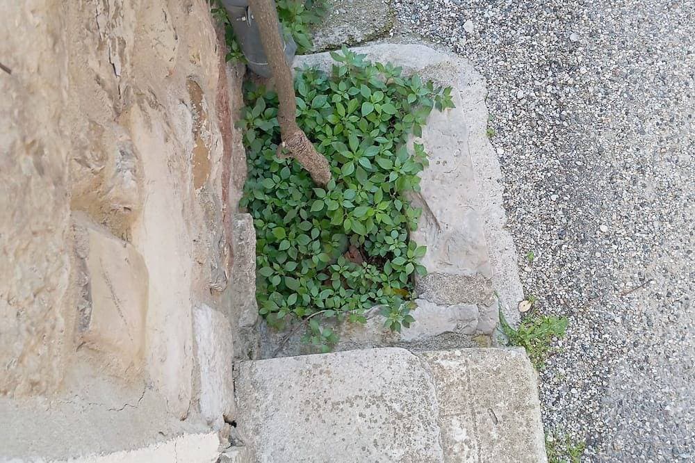 Foto 10 von 25: Wunderschön restauriertes provenzalisches Dorfhaus mit privater Südterrasse.