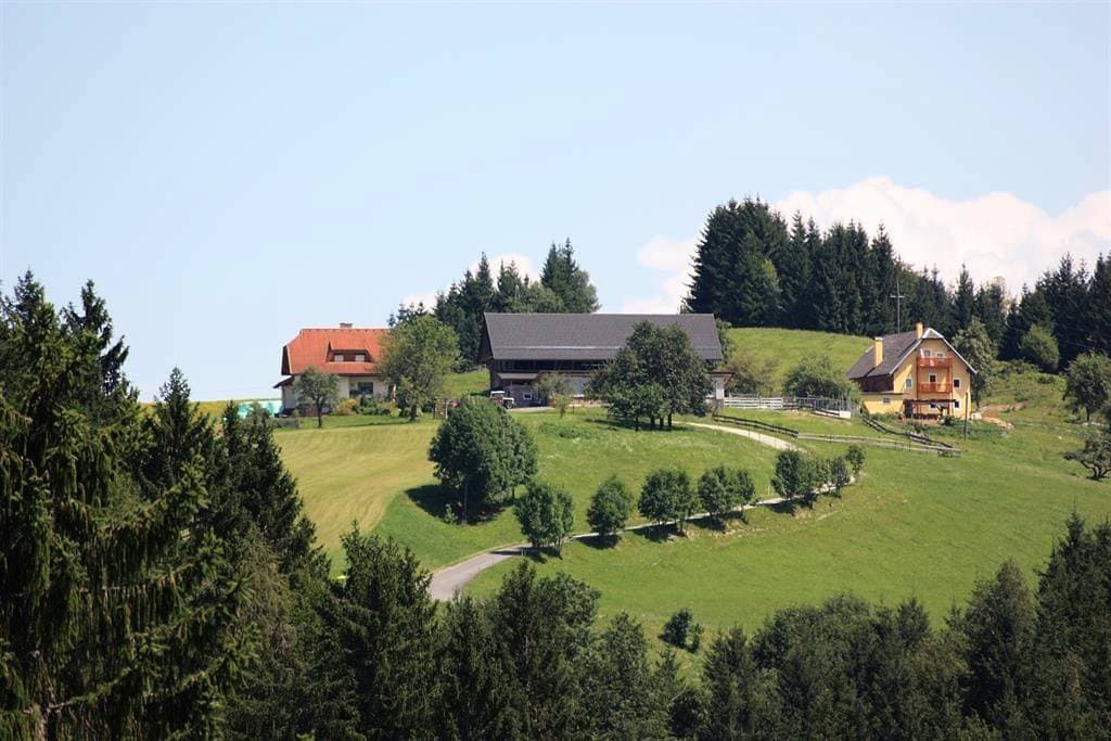 Foto 3 von 26: Ferienwohnung Mittagskogel