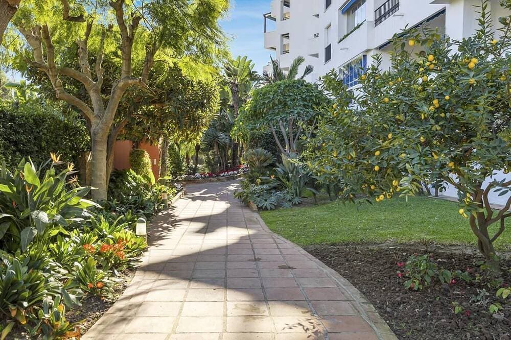 Foto 13 von 23: Apartment in Medina Garden for 2 people | 552