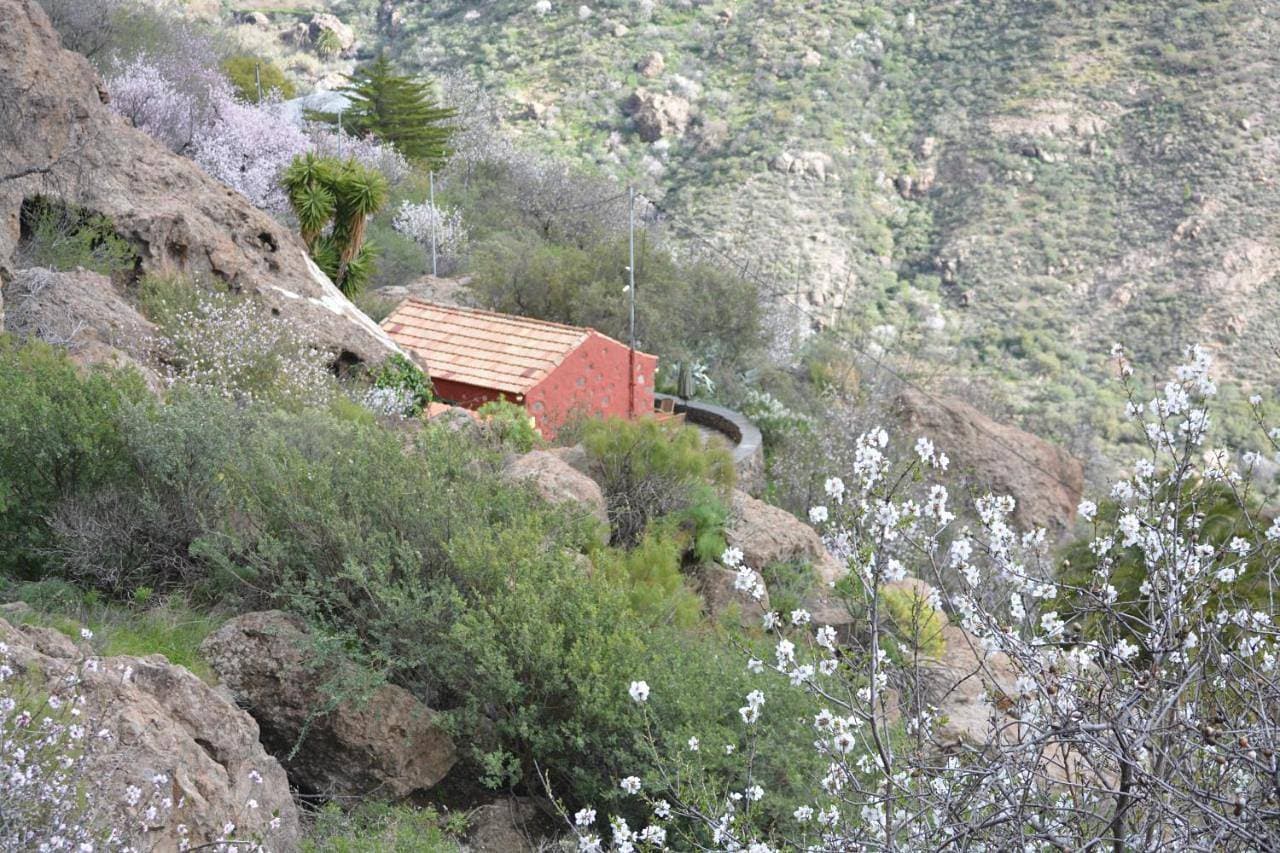 Casa Cueva El Pedregal Tejeda 1