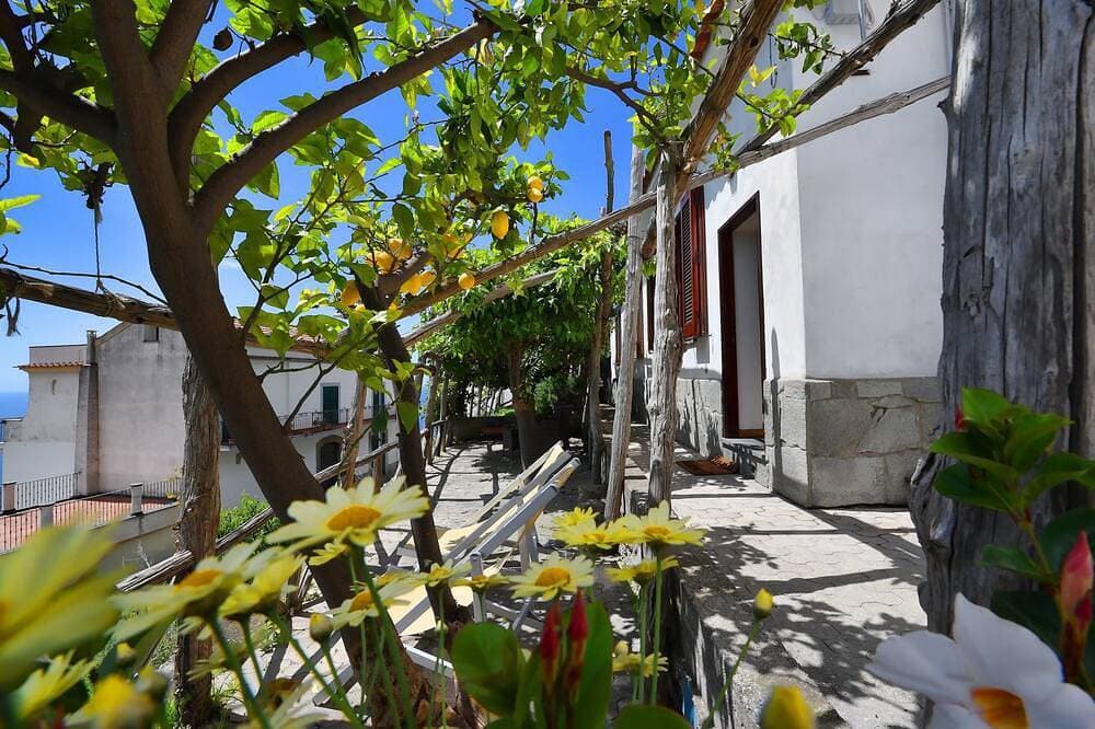 Foto 11 von 25: Charmantes Ferienhaus mit privatem Zitronengarten und Meerblick