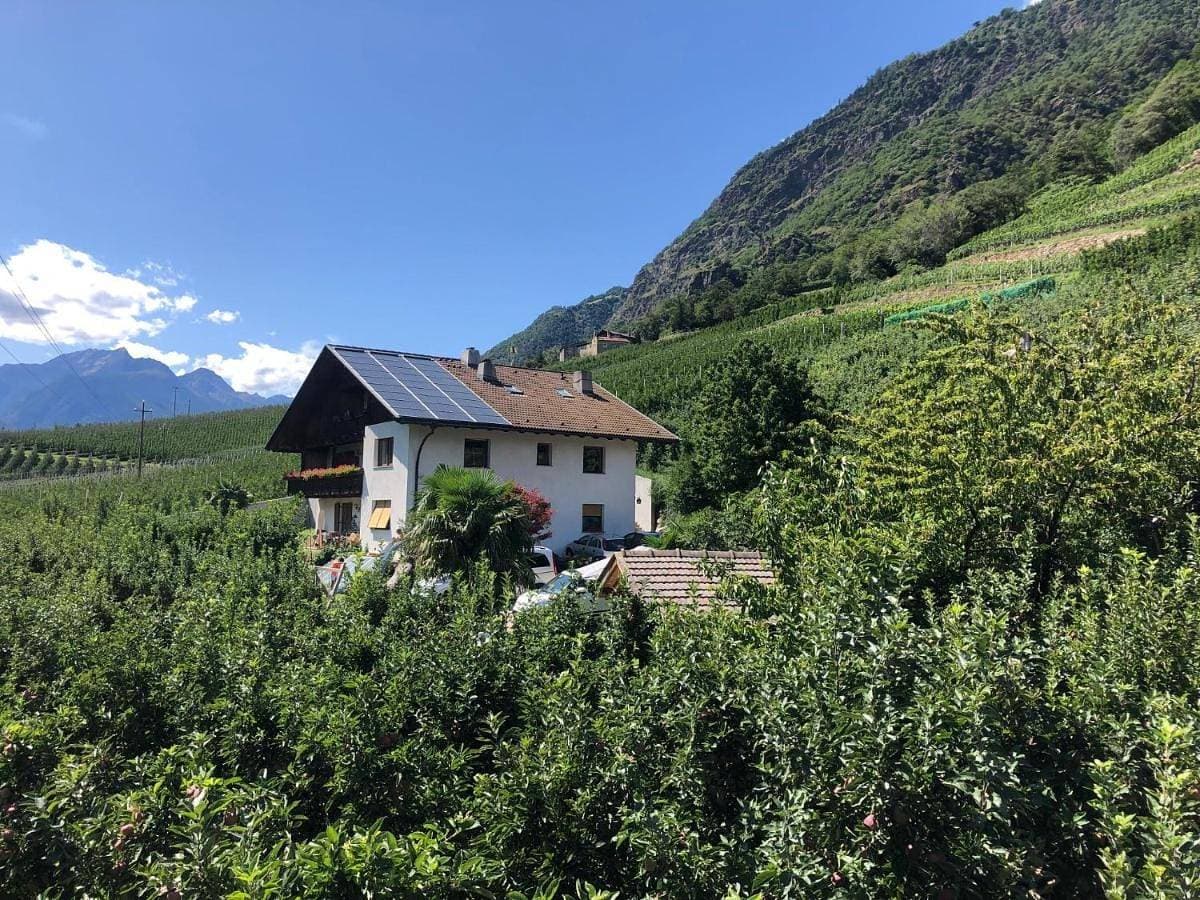 Pixnerhof - Urlaub am Biohof 1