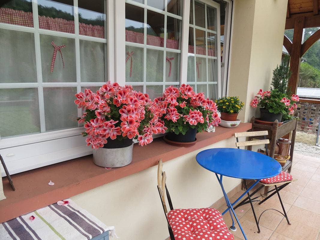 Foto 5 von 25: Gîtes de France® - Les Gîtes du Fond-Pitron  -  Gîte Campagne