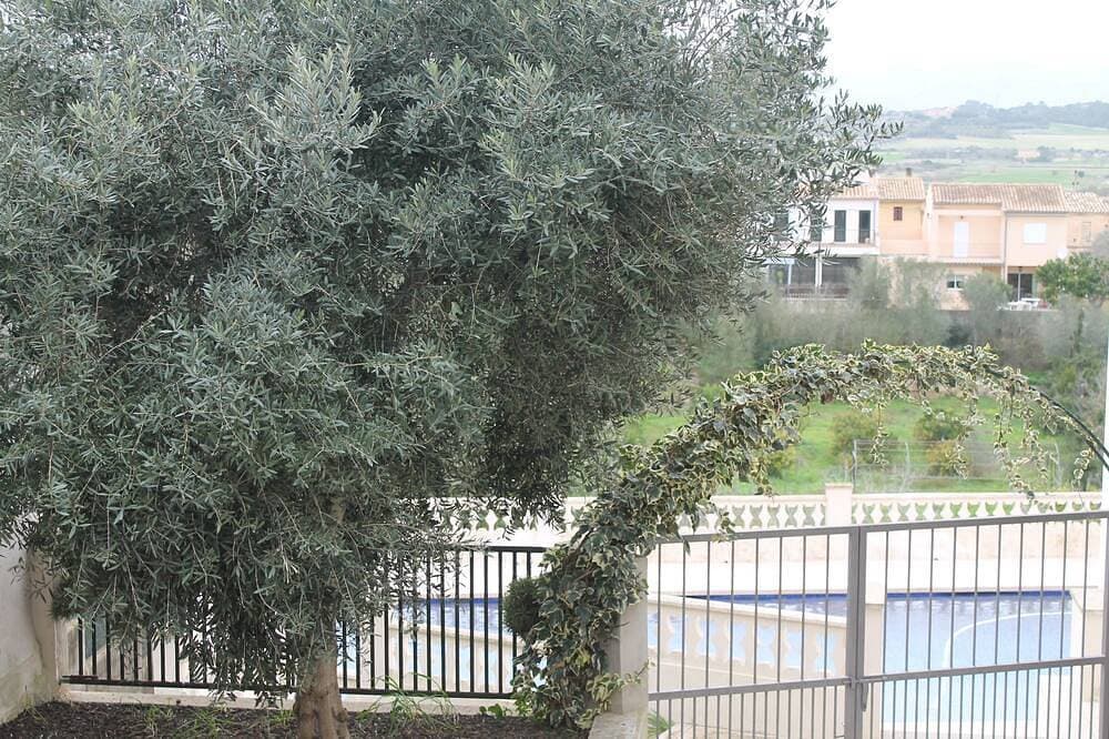 Foto 10 von 28: Charmante mallorquinisches Landhaus mit spektakulärer Aussicht