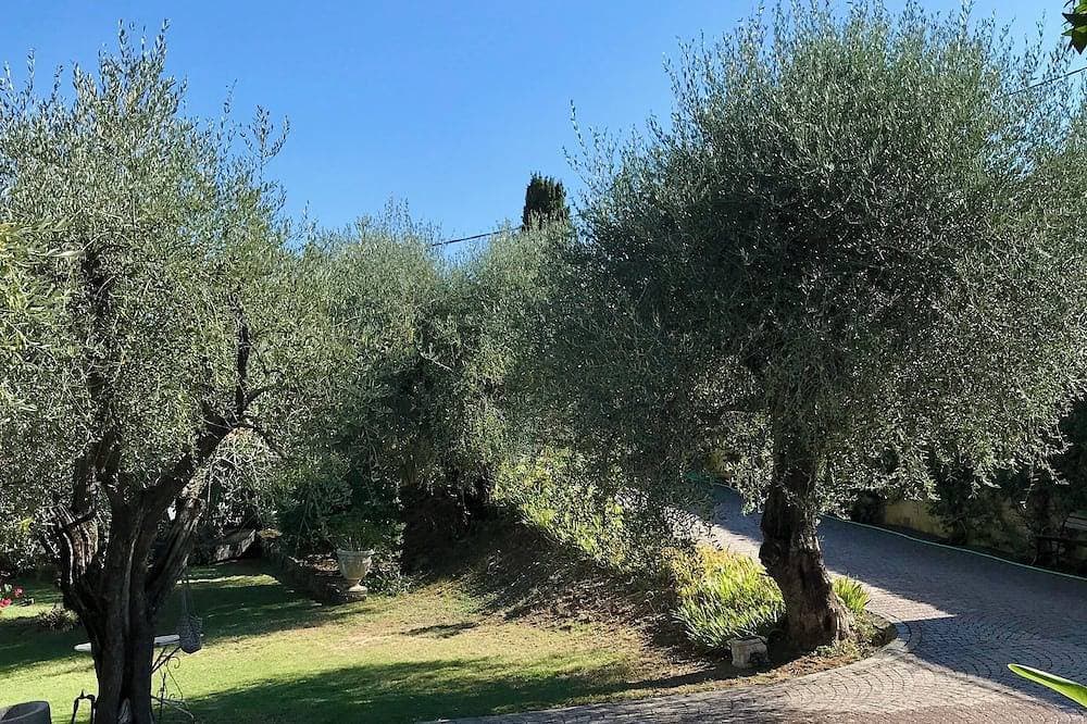 Foto 13 von 25: Le Bastidon des Oliviers, countryside at the gateway to Cannes
