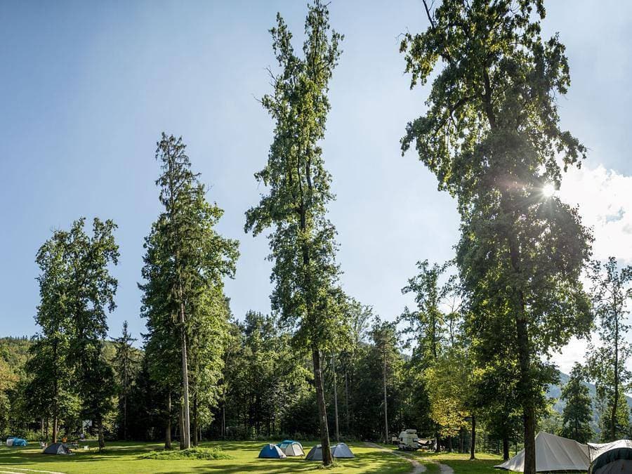 Foto 12 von 81: Forest Camping Mozirje - Unterkunft 3 personen - Glamping Hut Forest Bed