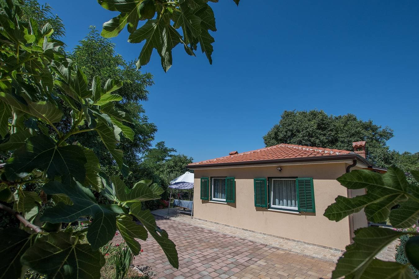 Foto 3 von 41: Ferienhaus für 5 Personen mit Terrasse