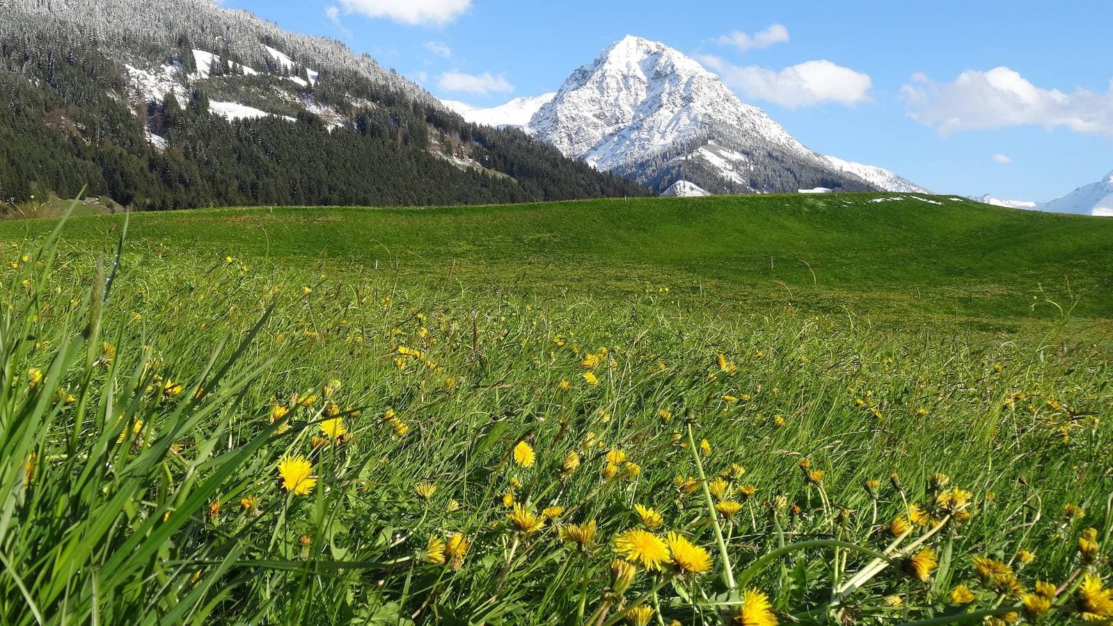 Foto 10 von 18: Sonnenkopf