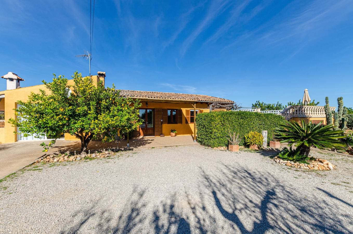 Foto 8 von 42: YourHouse Lemontree