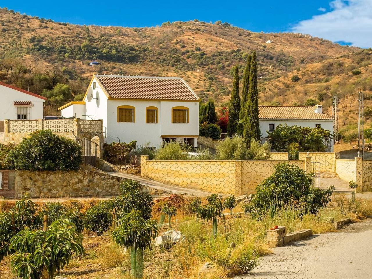 Familienvilla an der Costa del Sol 1