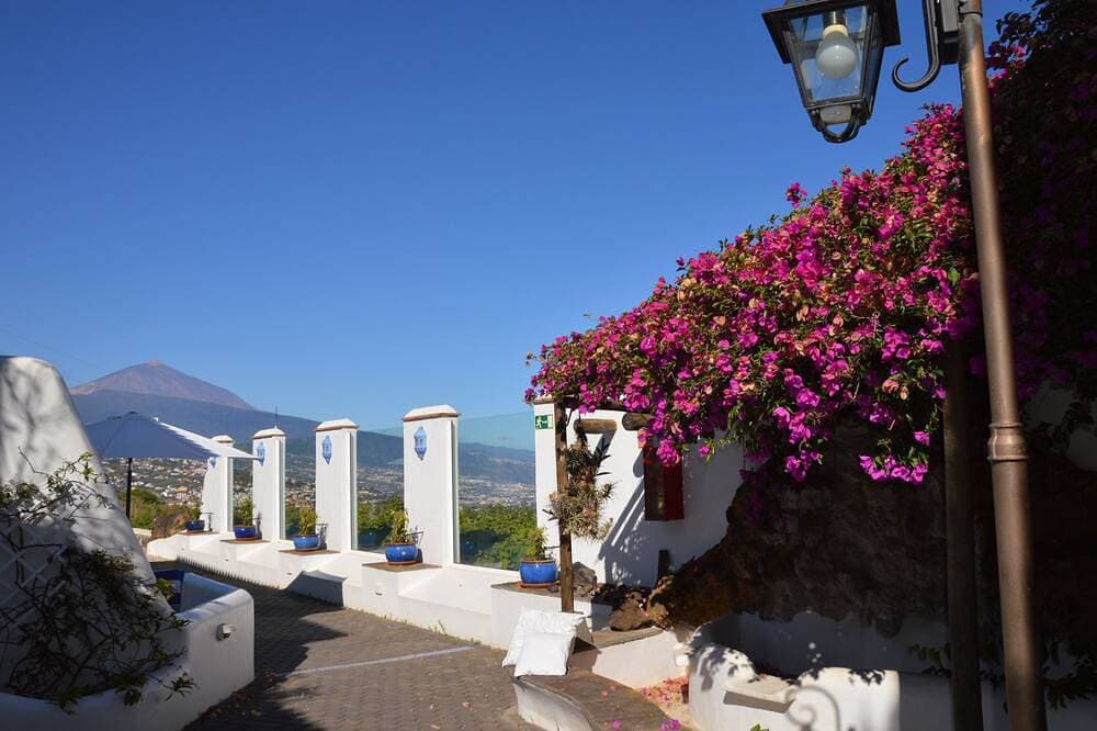 Foto 11 von 30: Finca ANgelus Maisonette Wohnung in einer Weinfinca mit Meer und Teideblick.