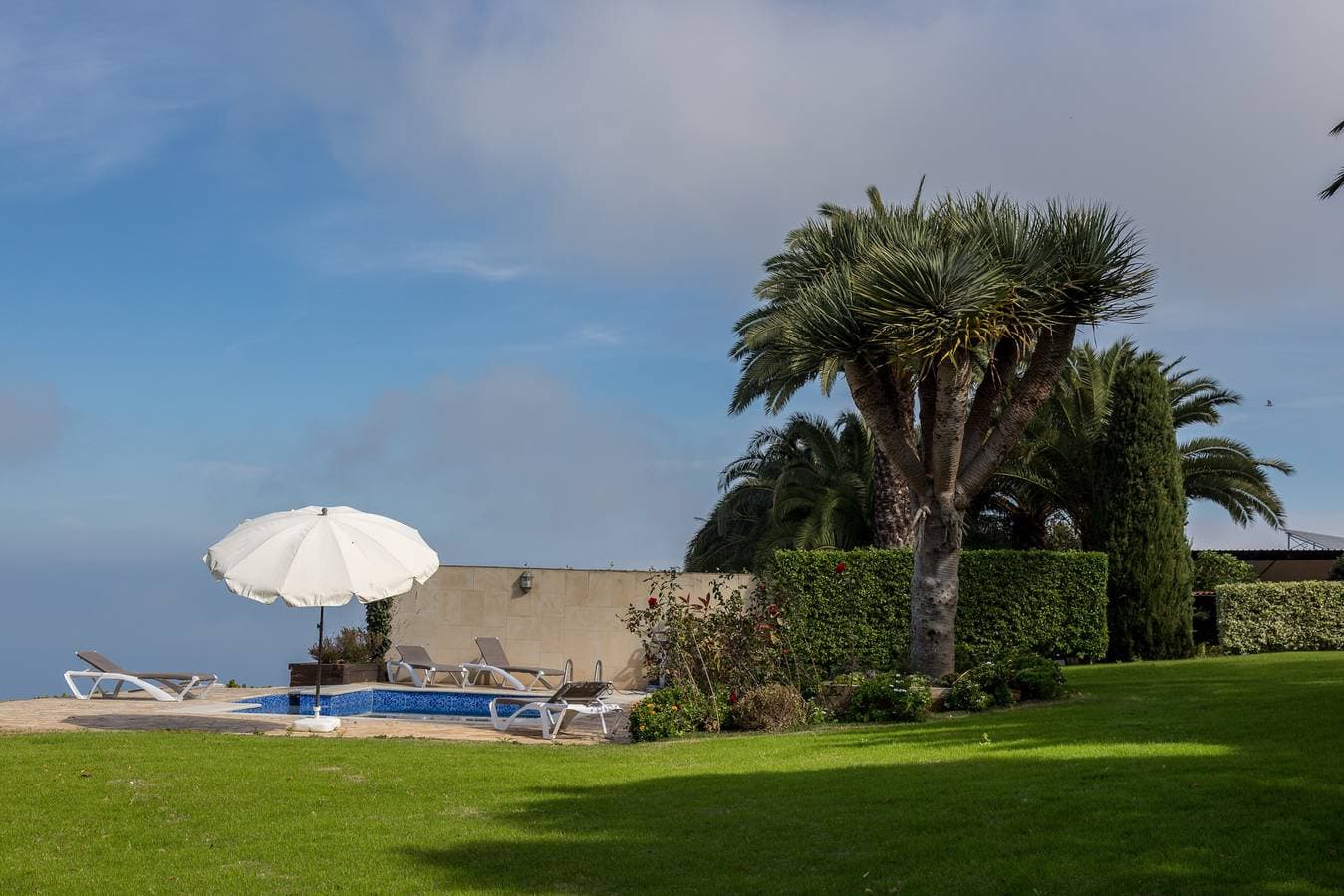 Foto 7 von 34: Los Paredones Farm - Private Pool - Garden