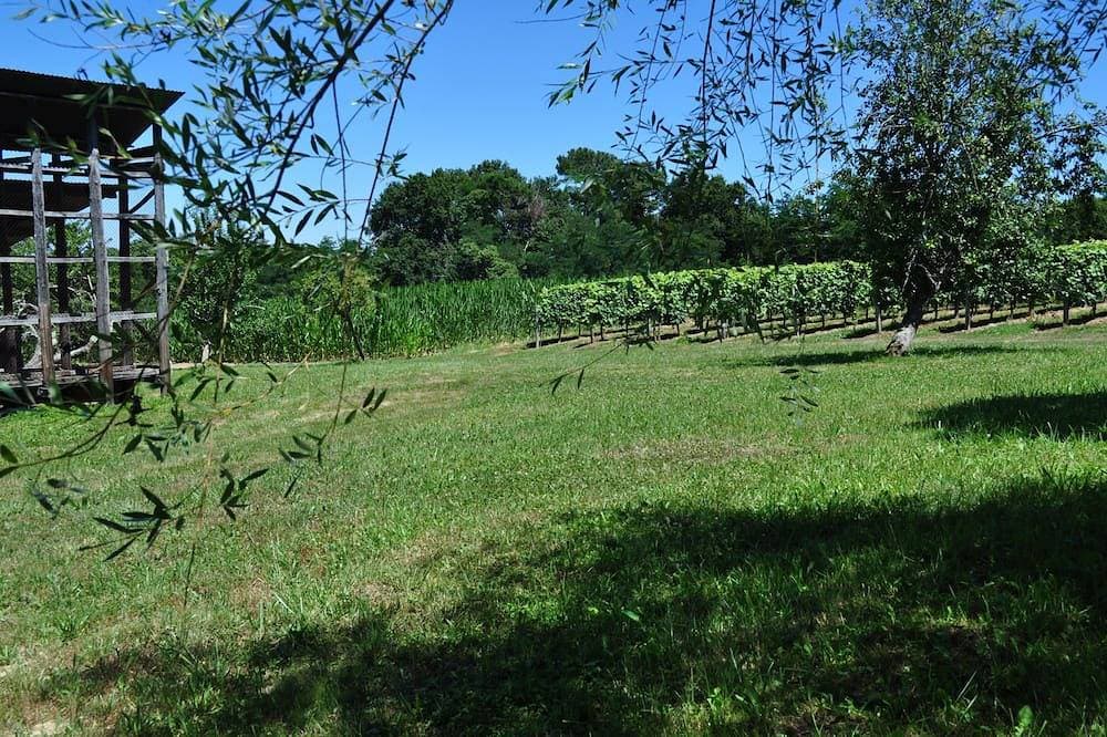 Foto 13 von 29: Maison Bidas - Charmantes, ländliches Ferienhaus mit 2 Schlafzimmern, 4 Schlafplätzen, umgeben von Weinbergen