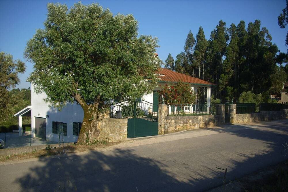 Foto 8 von 24: Villa ''les oliviers'' - Tomar - Zentral-Portugal