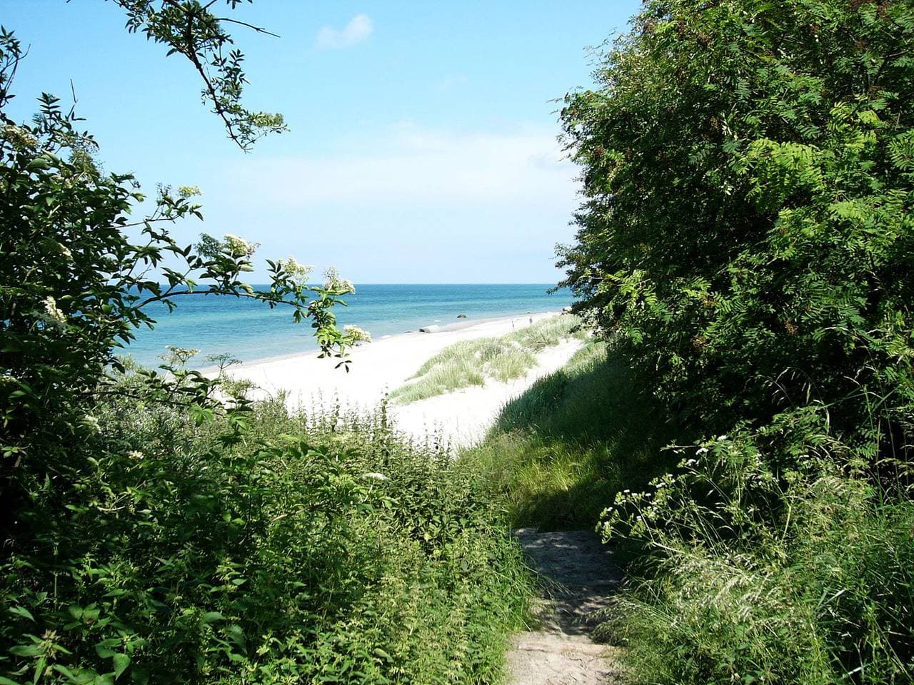 Foto 12 von 13: Bela 2