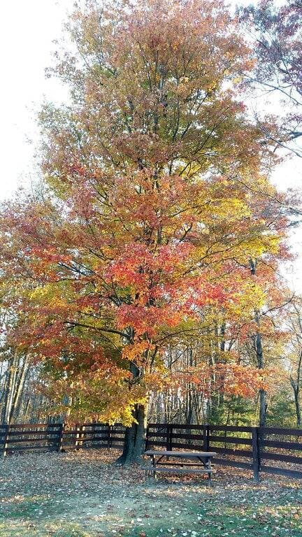 Foto 4 von 27: The Great Escape - Near everything yet off the beaten path