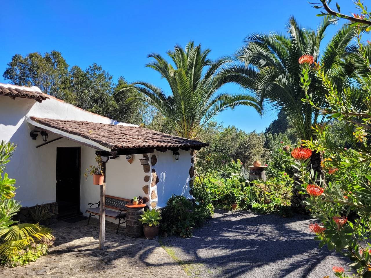 Finca Llano de la cebolla 1