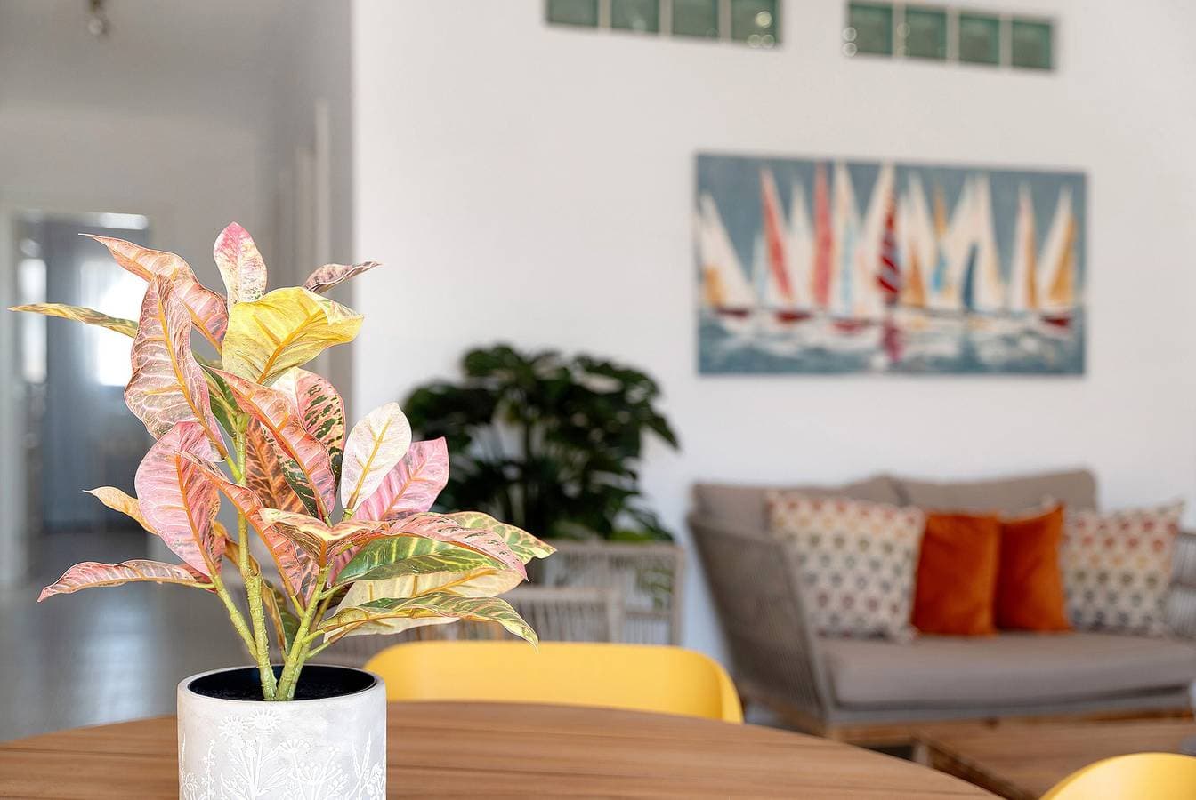 Foto 7 von 30: Ferienwohnung 'Ático Bellavista Alcalá' mit Privatterrasse und WLAN