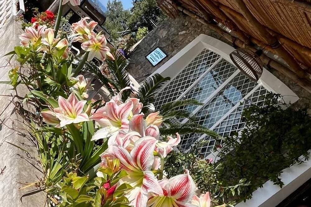 Star Fish House - Ihr Haus in der Amalfiküste 1