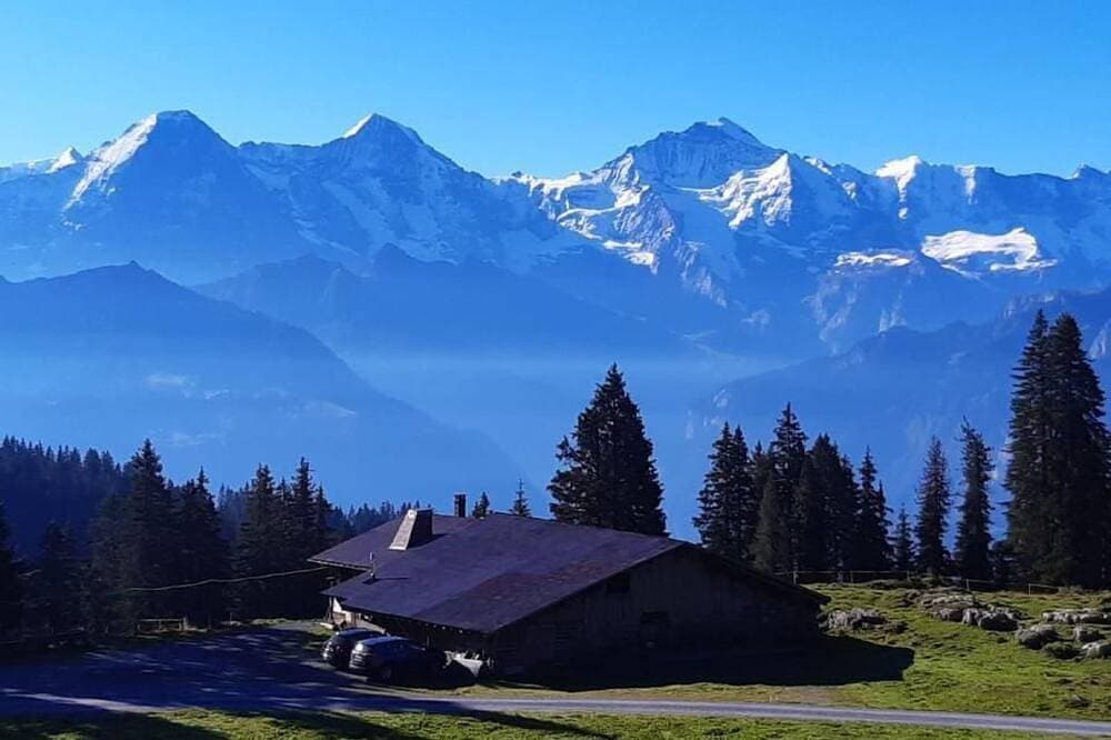 Foto 13 von 30: Chalet Lilo Big view