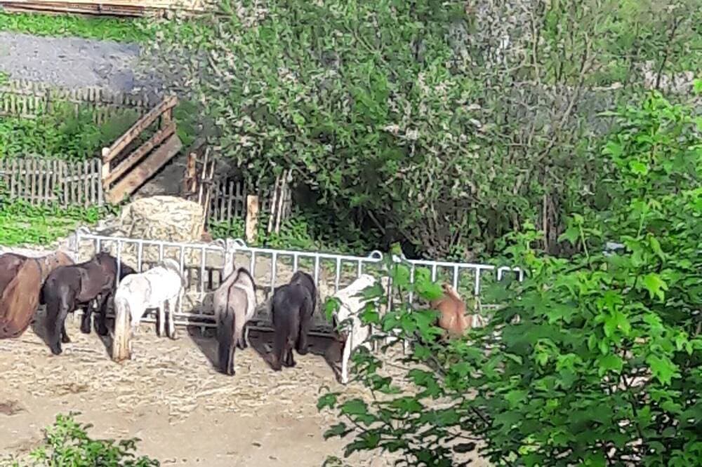 Foto 13 von 17: Emmerich`s Ferienwohnung direkt am Nationalpark Kellerwald gelegen
