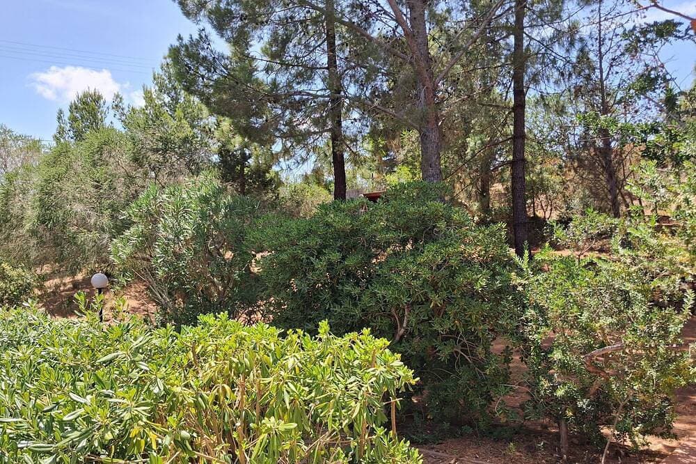 Foto 13 von 20: Apartment in Del Mirto Holiday House with terrace overlooking the sea of Nora