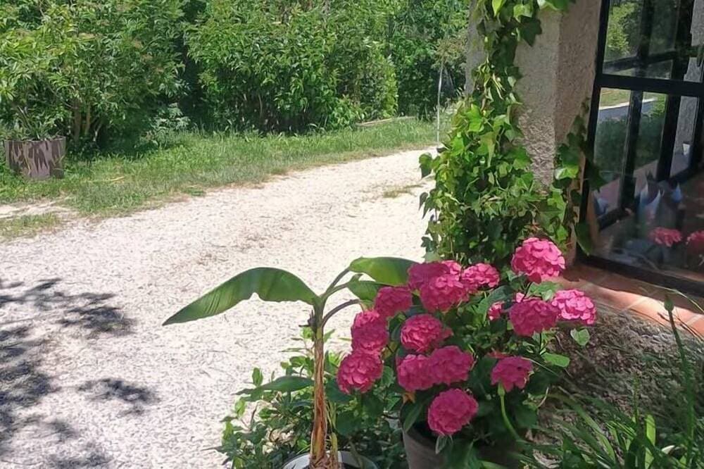 Foto 9 von 19: Lovely country T2 near town center!