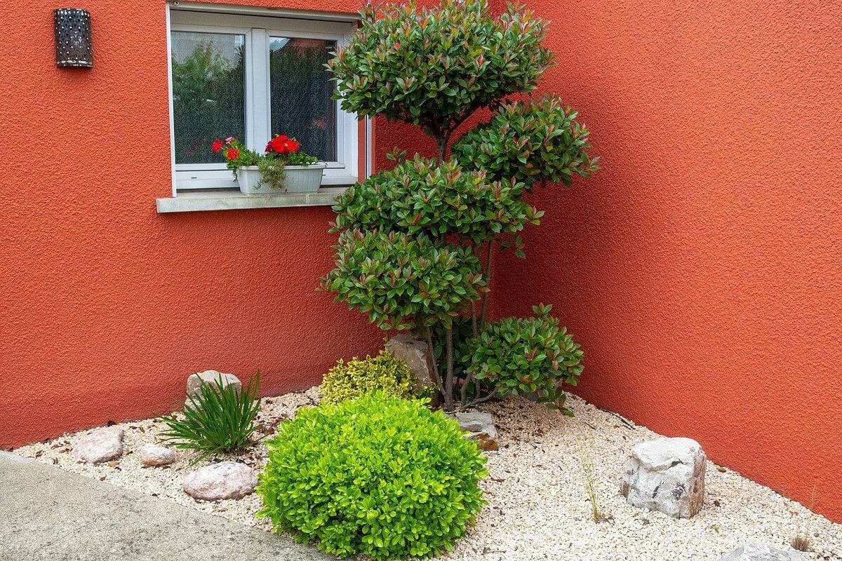 Foto 4 von 19: Ferienhaus für 4 Personen mit Terrasse