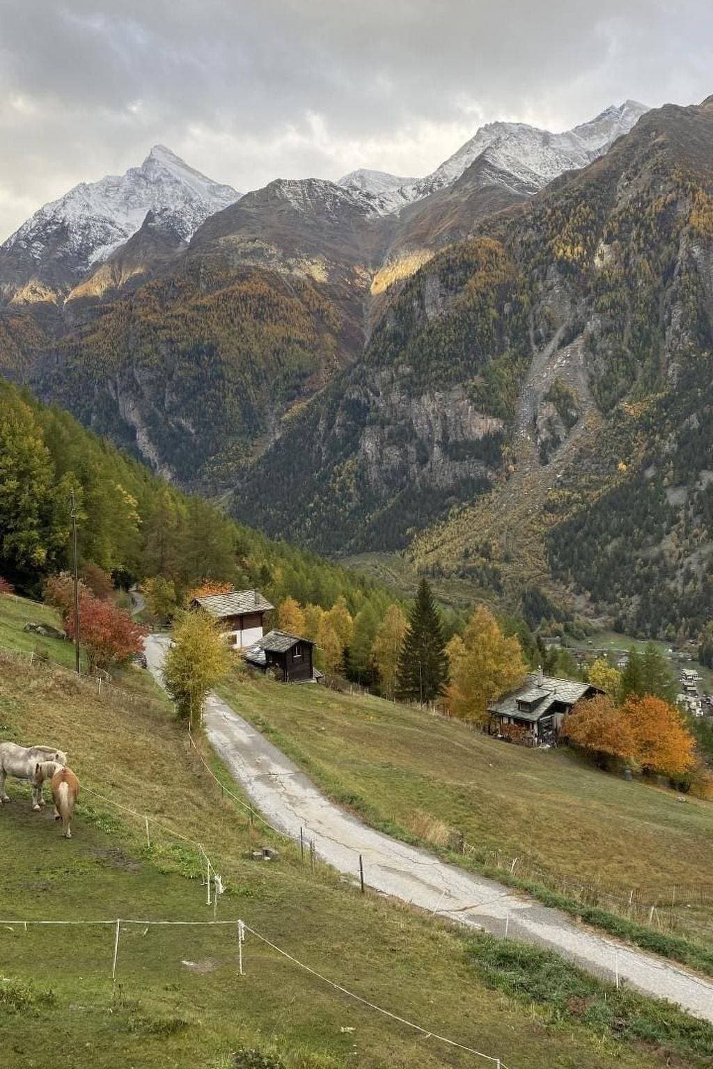 Foto 5 von 16: Chalet Spycher