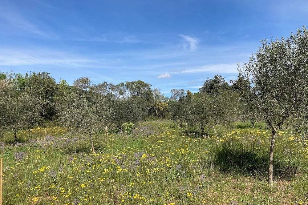 Foto 9 von 12: Escape to Provence: a charming cottage in the heart of olive groves