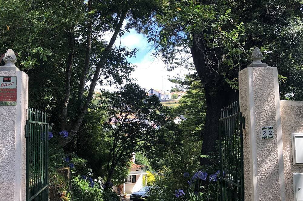 The Garden of Paradise 1