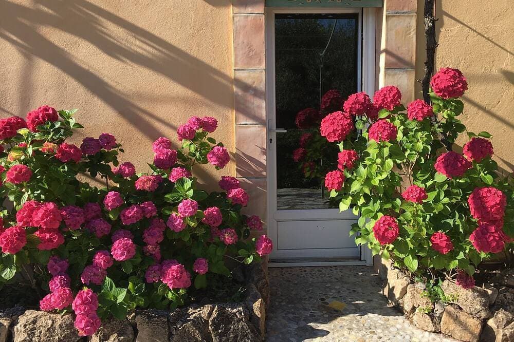 Foto 7 von 30: Im Herzen des Waldes, ein kleines Paradies nur wenige Minuten von Cannes entfernt