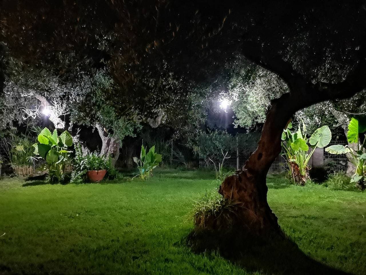 Foto 11 von 54: Ferienhaus für 3 Personen mit Garten