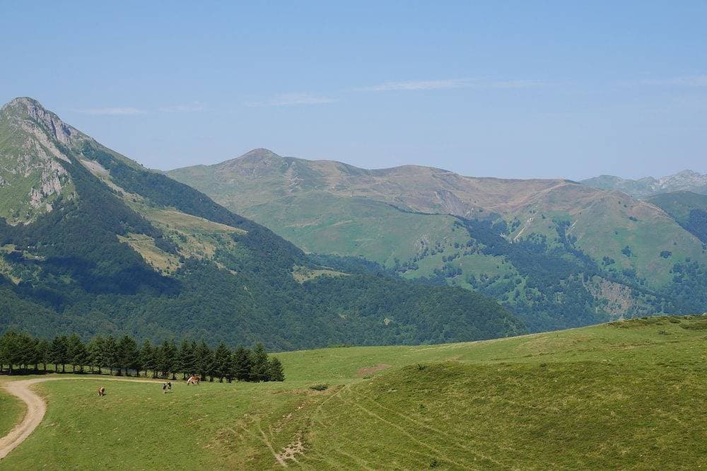 Foto 11 von 22: Unterkunft in authentischen Scheune im Herzen des Tales dAzun, Blick auf die Berge