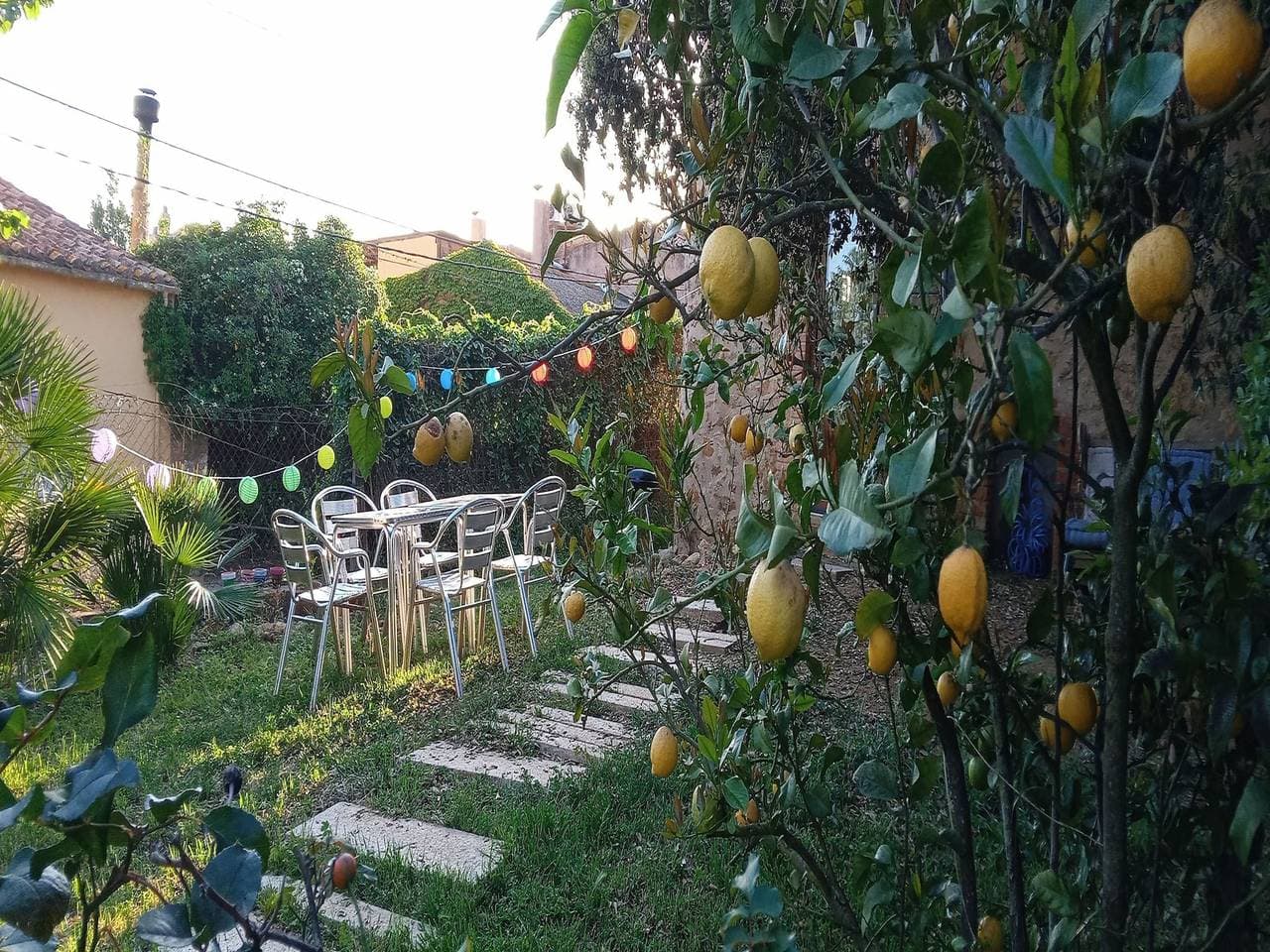 Foto 6 von 39: Ferienhaus für 4 Personen mit Garten